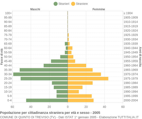 Grafico cittadini stranieri - Quinto di Treviso 2005