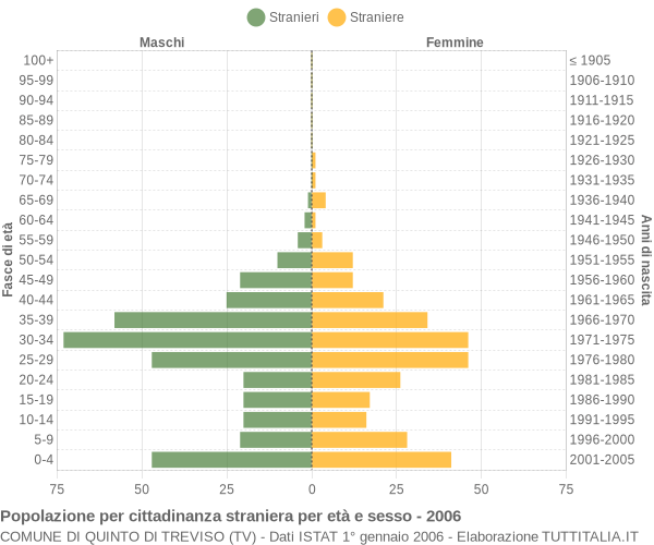 Grafico cittadini stranieri - Quinto di Treviso 2006