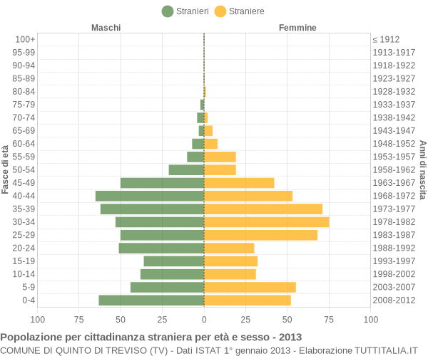 Grafico cittadini stranieri - Quinto di Treviso 2013