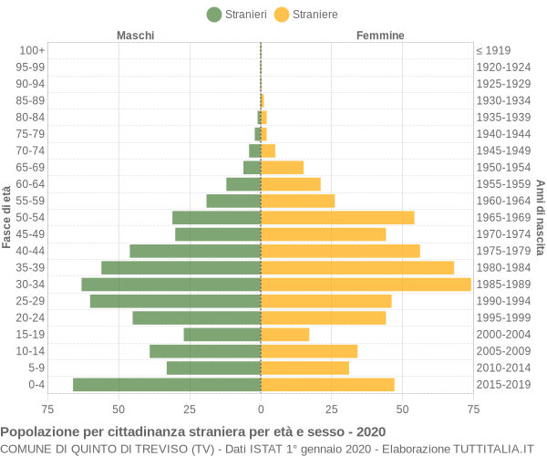 Grafico cittadini stranieri - Quinto di Treviso 2020