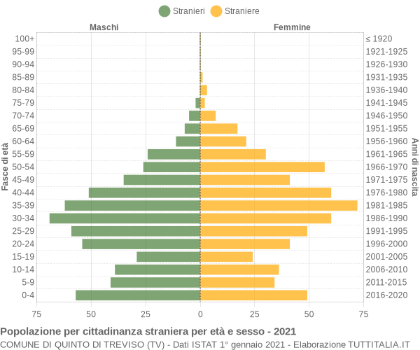 Grafico cittadini stranieri - Quinto di Treviso 2021