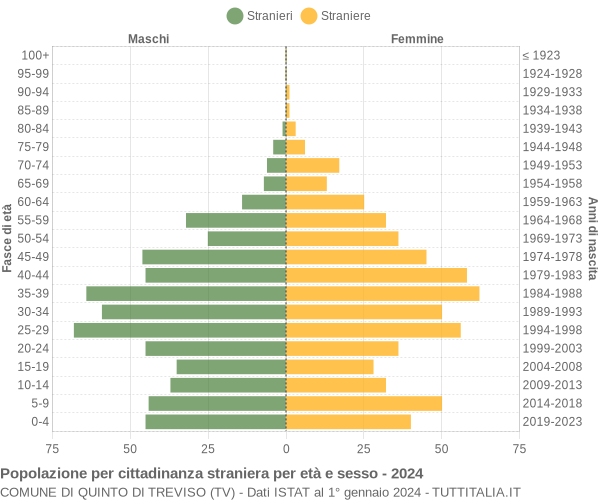 Grafico cittadini stranieri - Quinto di Treviso 2024