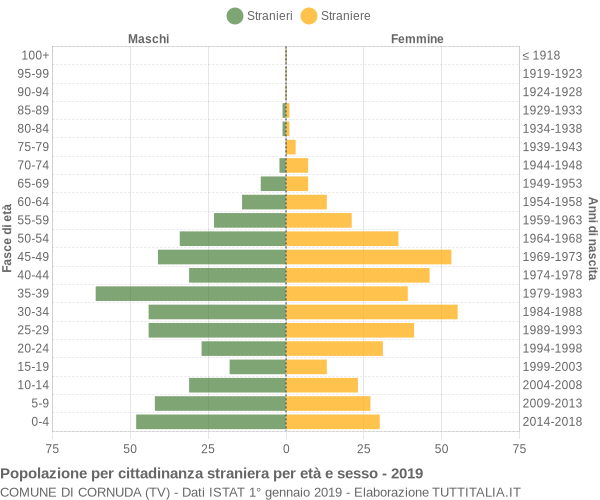 Grafico cittadini stranieri - Cornuda 2019