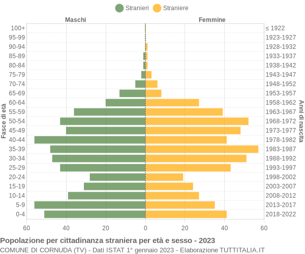 Grafico cittadini stranieri - Cornuda 2023