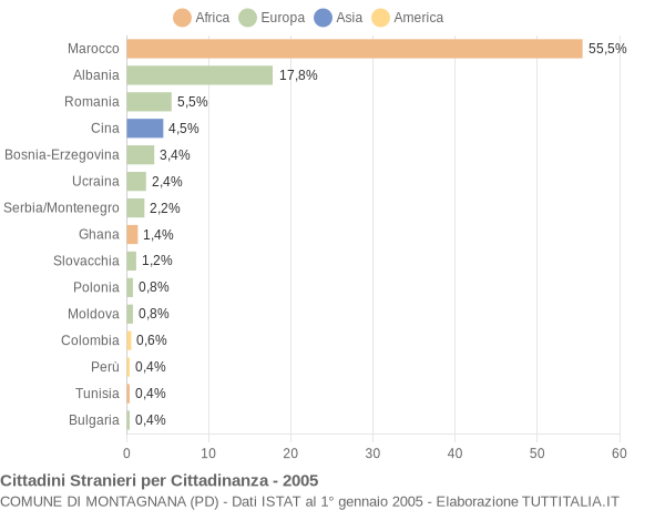 Grafico cittadinanza stranieri - Montagnana 2005