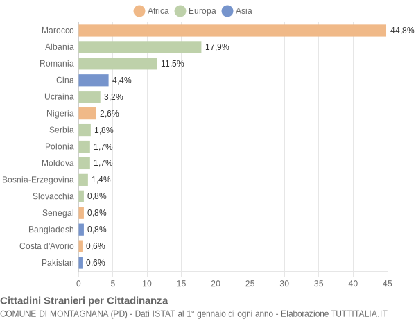 Grafico cittadinanza stranieri - Montagnana 2022