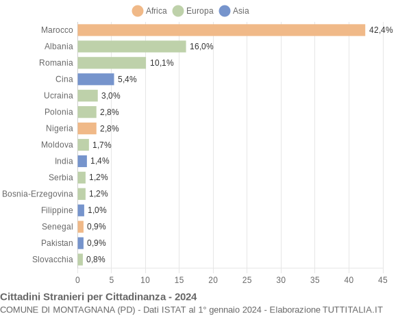 Grafico cittadinanza stranieri - Montagnana 2024