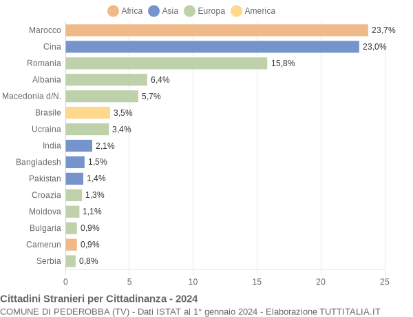 Grafico cittadinanza stranieri - Pederobba 2024