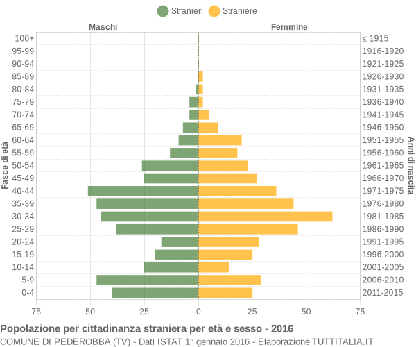 Grafico cittadini stranieri - Pederobba 2016