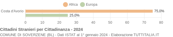 Grafico cittadinanza stranieri - Soverzene 2024