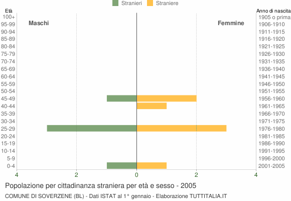 Grafico cittadini stranieri - Soverzene 2005