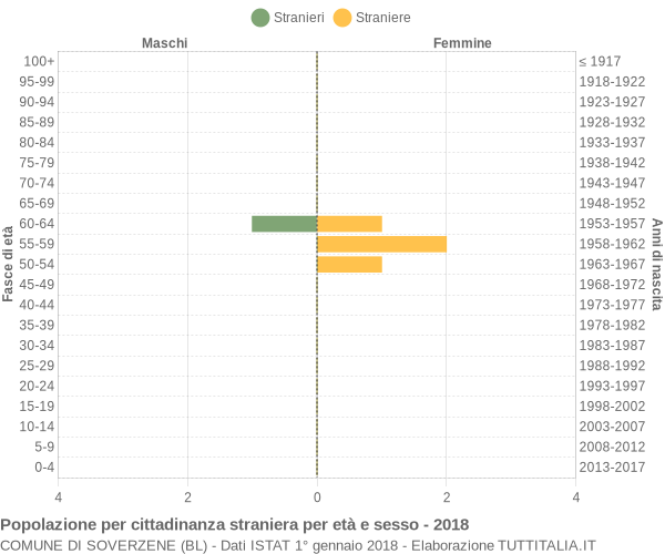 Grafico cittadini stranieri - Soverzene 2018