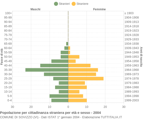 Grafico cittadini stranieri - Sovizzo 2004