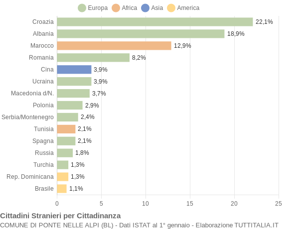 Grafico cittadinanza stranieri - Ponte nelle Alpi 2006