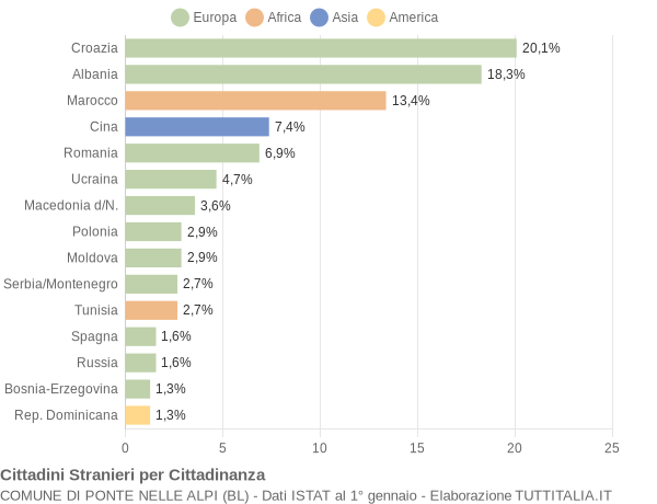 Grafico cittadinanza stranieri - Ponte nelle Alpi 2007