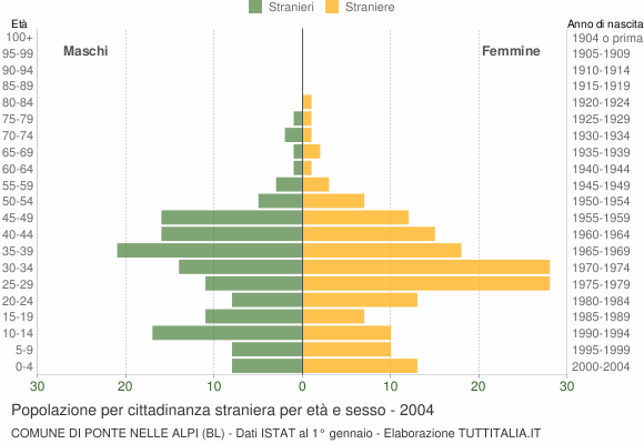 Grafico cittadini stranieri - Ponte nelle Alpi 2004