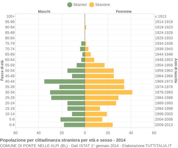 Grafico cittadini stranieri - Ponte nelle Alpi 2014