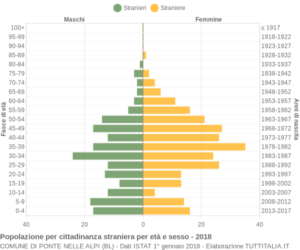 Grafico cittadini stranieri - Ponte nelle Alpi 2018