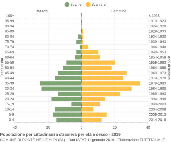 Grafico cittadini stranieri - Ponte nelle Alpi 2019