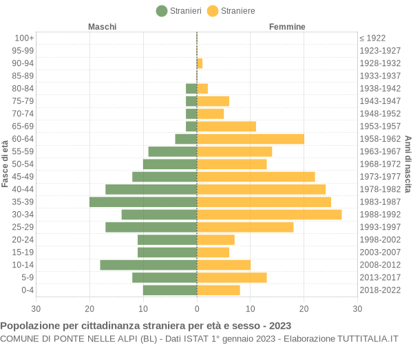 Grafico cittadini stranieri - Ponte nelle Alpi 2023