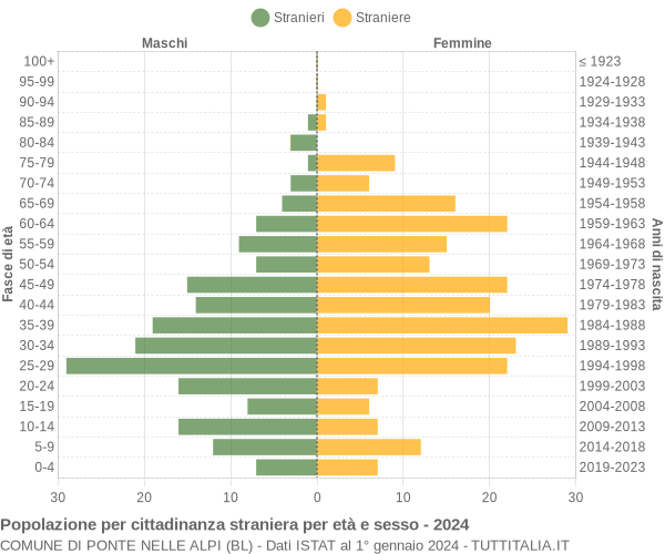 Grafico cittadini stranieri - Ponte nelle Alpi 2024