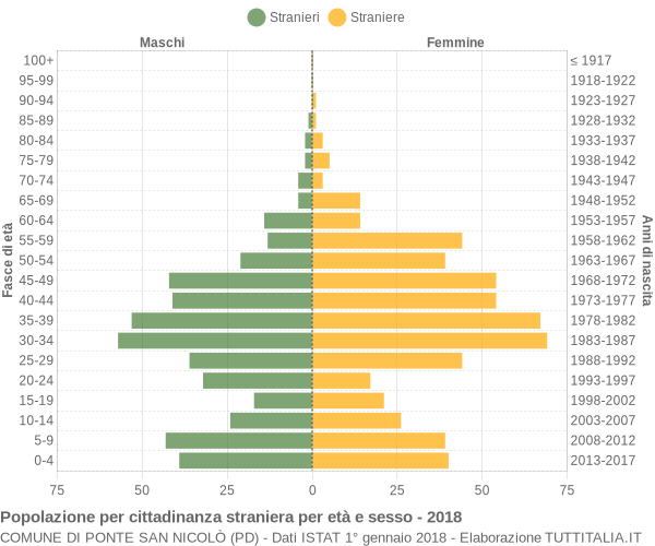 Grafico cittadini stranieri - Ponte San Nicolò 2018