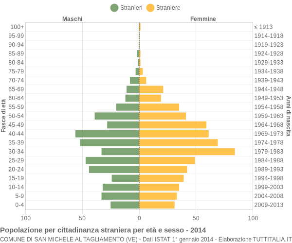 Grafico cittadini stranieri - San Michele al Tagliamento 2014