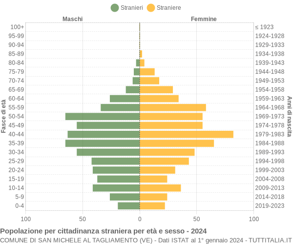 Grafico cittadini stranieri - San Michele al Tagliamento 2024