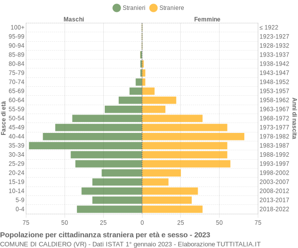 Grafico cittadini stranieri - Caldiero 2023