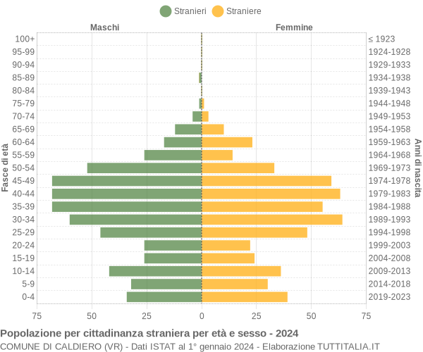 Grafico cittadini stranieri - Caldiero 2024