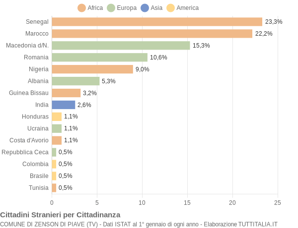 Grafico cittadinanza stranieri - Zenson di Piave 2004