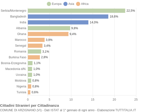 Grafico cittadinanza stranieri - Arzignano 2004