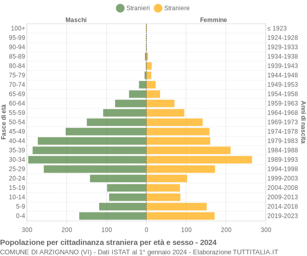 Grafico cittadini stranieri - Arzignano 2024