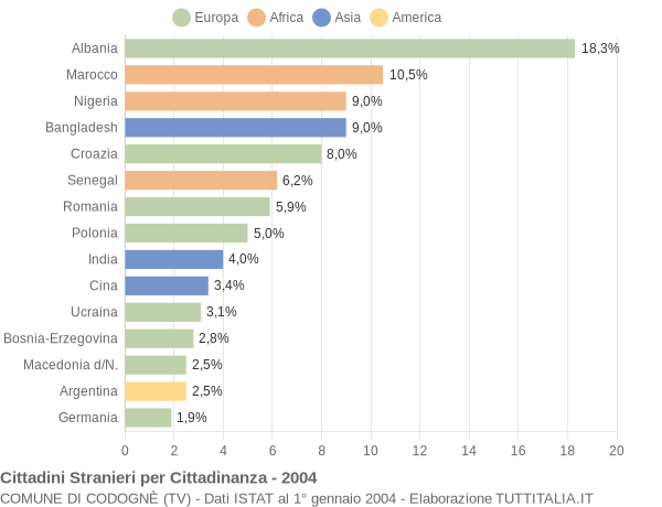 Grafico cittadinanza stranieri - Codognè 2004