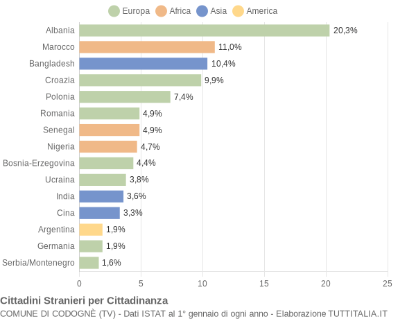 Grafico cittadinanza stranieri - Codognè 2005