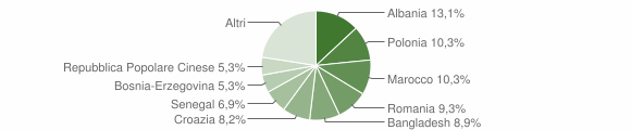 Grafico cittadinanza stranieri - Codognè 2010