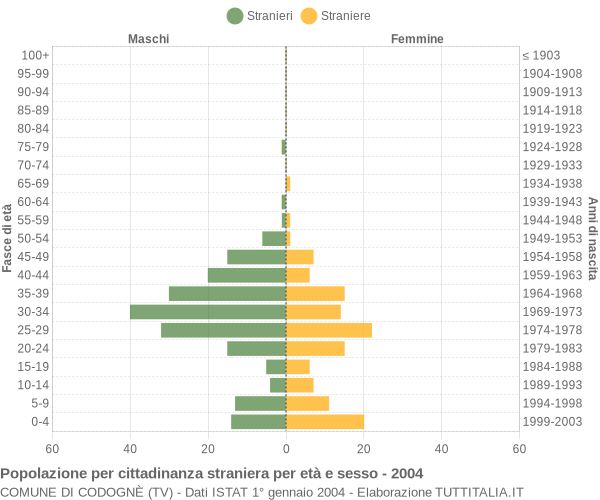 Grafico cittadini stranieri - Codognè 2004
