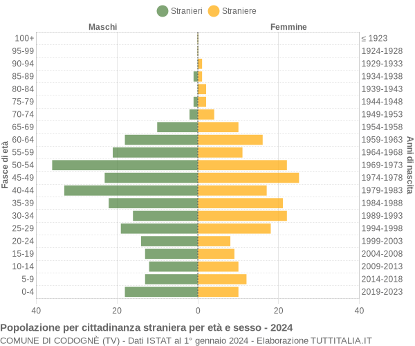 Grafico cittadini stranieri - Codognè 2024