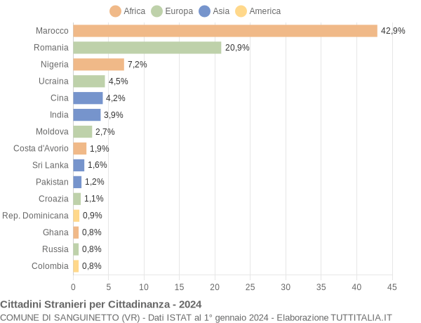 Grafico cittadinanza stranieri - Sanguinetto 2024