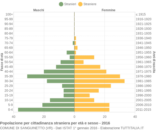 Grafico cittadini stranieri - Sanguinetto 2016