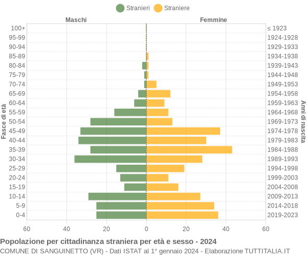 Grafico cittadini stranieri - Sanguinetto 2024