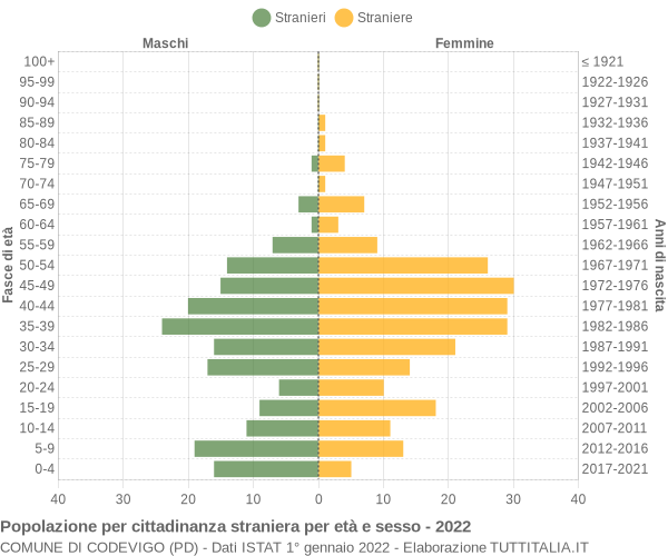 Grafico cittadini stranieri - Codevigo 2022