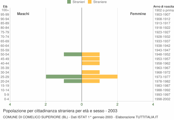 Grafico cittadini stranieri - Comelico Superiore 2003