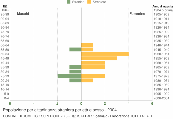 Grafico cittadini stranieri - Comelico Superiore 2004
