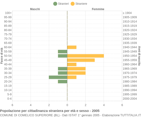 Grafico cittadini stranieri - Comelico Superiore 2005