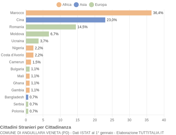 Grafico cittadinanza stranieri - Anguillara Veneta 2021