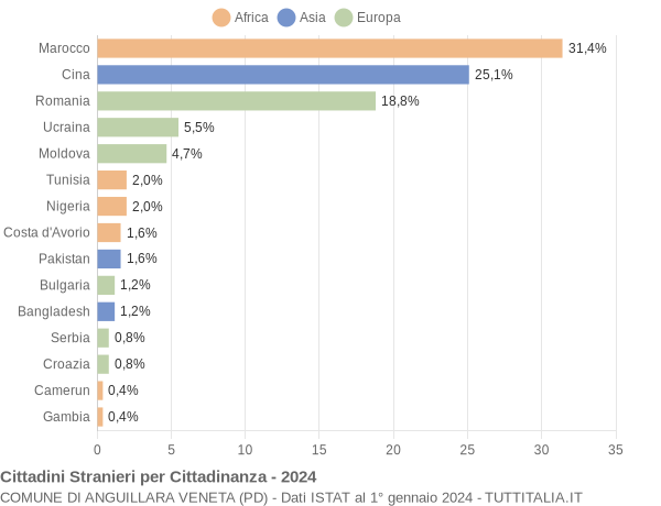 Grafico cittadinanza stranieri - Anguillara Veneta 2024