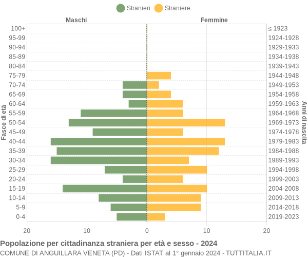 Grafico cittadini stranieri - Anguillara Veneta 2024