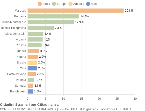 Grafico cittadinanza stranieri - Nervesa della Battaglia 2005