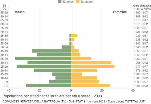 Grafico cittadini stranieri - Nervesa della Battaglia 2003